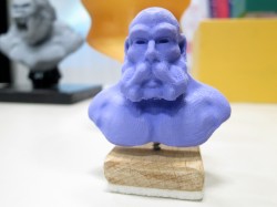 3D Printed Bust