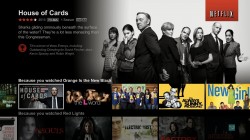 New Netflix UI