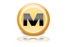 MegaUpload Logo