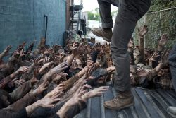 The Walking Dead