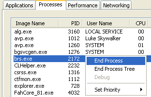 Task Manager: end brs.exe