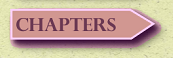 DVD-lab Pro: Chapters Button Highlight