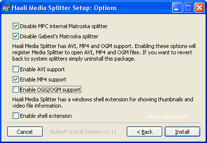 Haali Media Splitter install: options