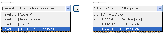 RipBot264: Audio/Video Profiles