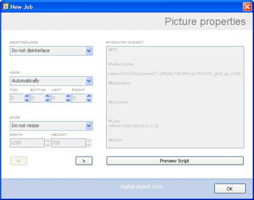 RipBot264: Output Properties