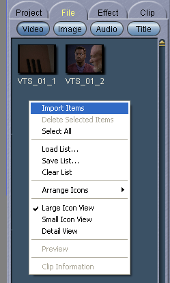 Womble MPEG Video Wizard: Import Items