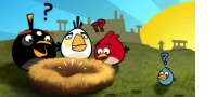 Angry Bird's developer says that piracy, as long as it doesn't hurt the Angry Birds brand, can be benefitial