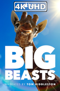 Movie Poster for Big Beasts - HEVC/MKV 4K Ultra HD Trailer