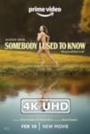 Movie Poster for Somebody I Used To Know - HEVC/MKV 4K Trailer