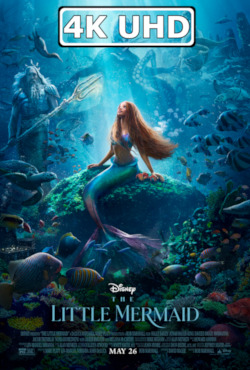 Movie Poster for The Little Mermaid - HEVC/MKV Original 4K Trailer