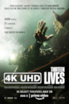 Movie Poster for Thirteen Lives - HEVC/MKV 4K Trailer