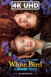 Movie Poster for White Bird: A Wonder Story - HEVC/MKV 4K Trailer