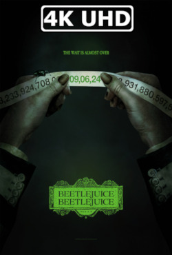 Movie Poster for Beetlejuice Beetlejuice - HEVC/MKV Original 4K Ultra HD Teaser Trailer