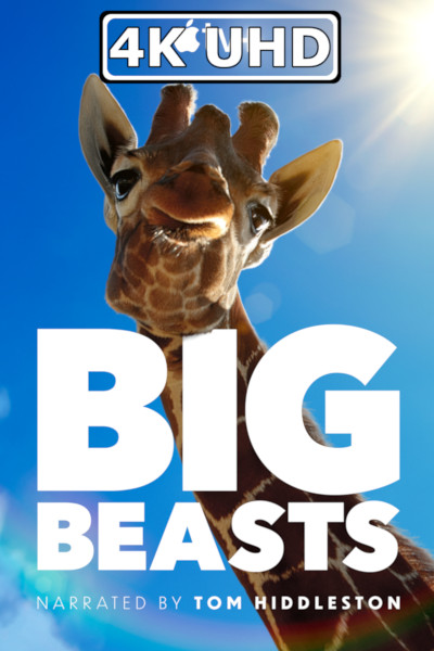 Big Beasts - HEVC/MKV 4K Ultra HD Trailer