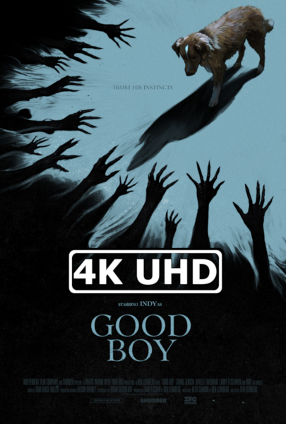 Good Boy - HEVC/MKV 4K Ultra HD Trailer