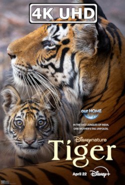 Movie Poster for Tiger - HEVC/MKV 4K Ultra HD Trailer