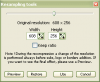AVI ReComp: Resizing Tools Resizing Tools