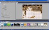 DVDit Pro: Advanced Menu Creation Advanced Menu Creation