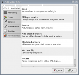 Add Video Filter