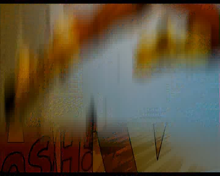 594_b_shrink.jpg